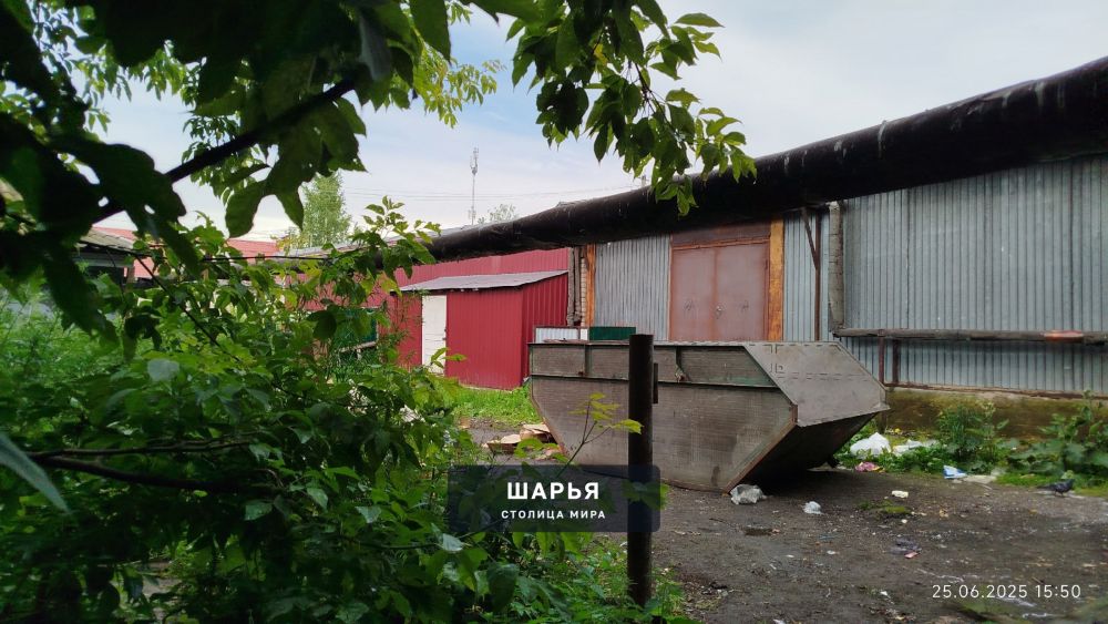 Посетил сегодня городской рынок — Шарья — фото 4