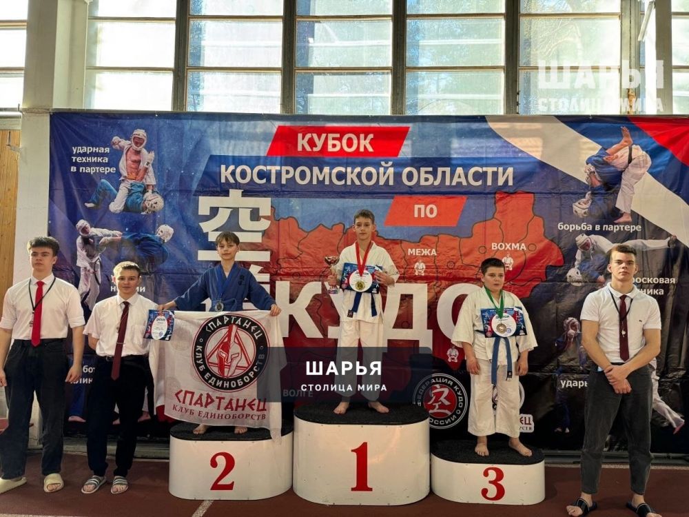 В Шарье состоялся традиционный Кубок Костромской области по КУДО — Шарья — фото 3