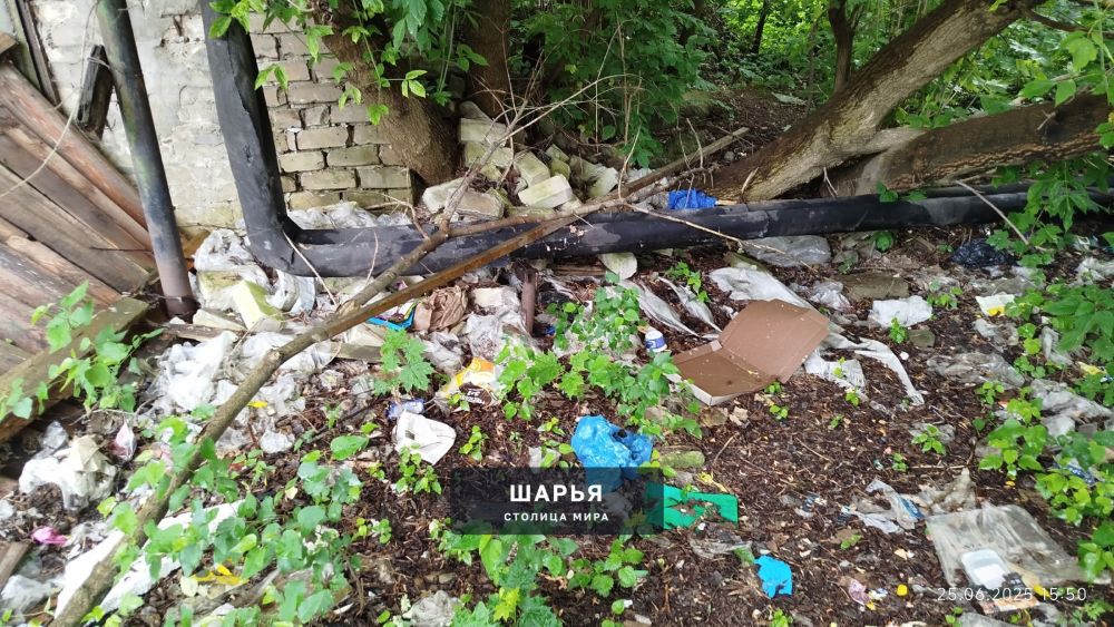 Посетил сегодня городской рынок — Шарья — фото 3