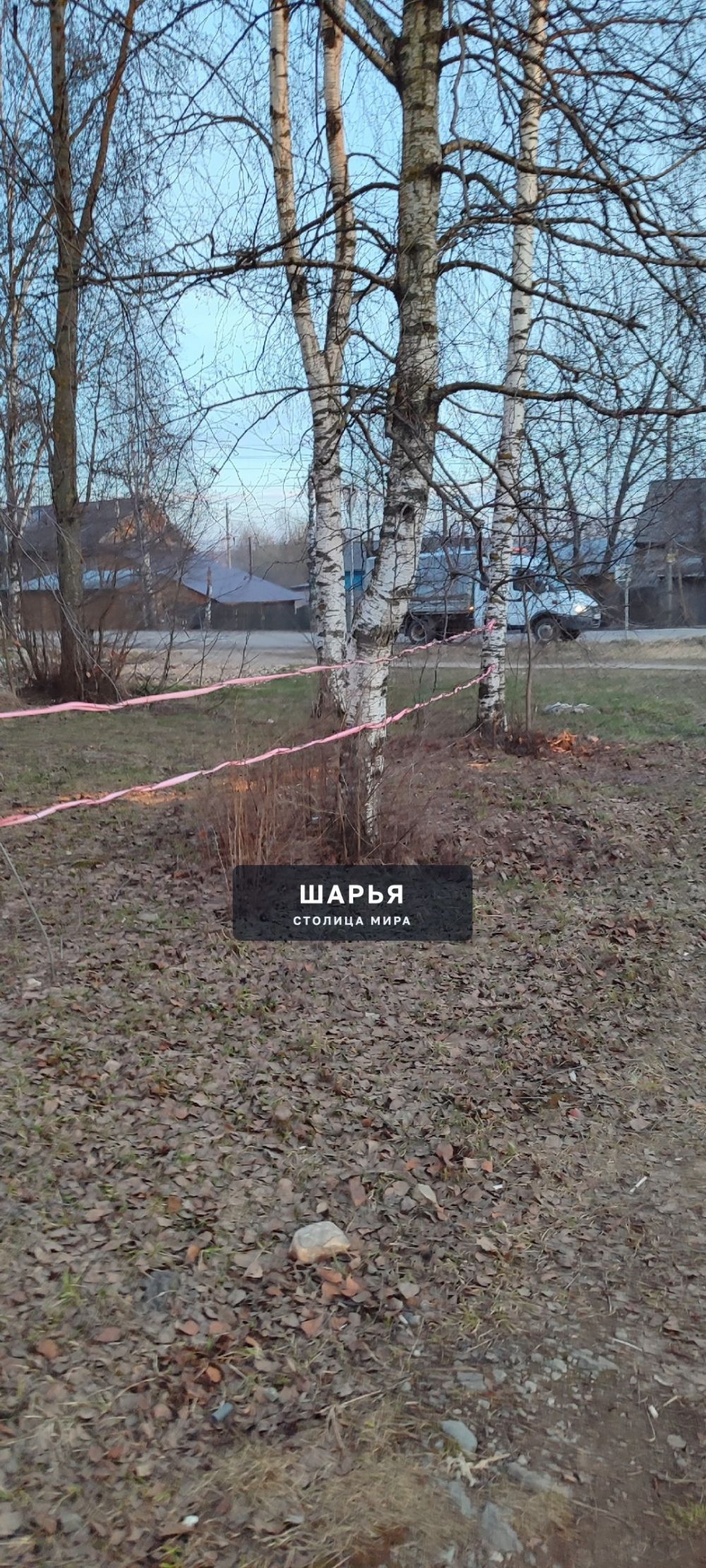 На перекрестке улиц Ивана Шатрова/ Орджоникидзе рядом с пешеходной тропинкой натянута колючая… — Шарья — фото 3