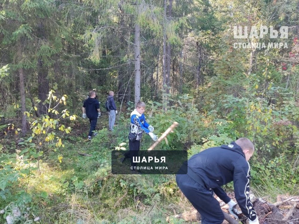 Субботник прошел в шарьинском Городском парке культуры и отдыха — Шарья — фото 3
