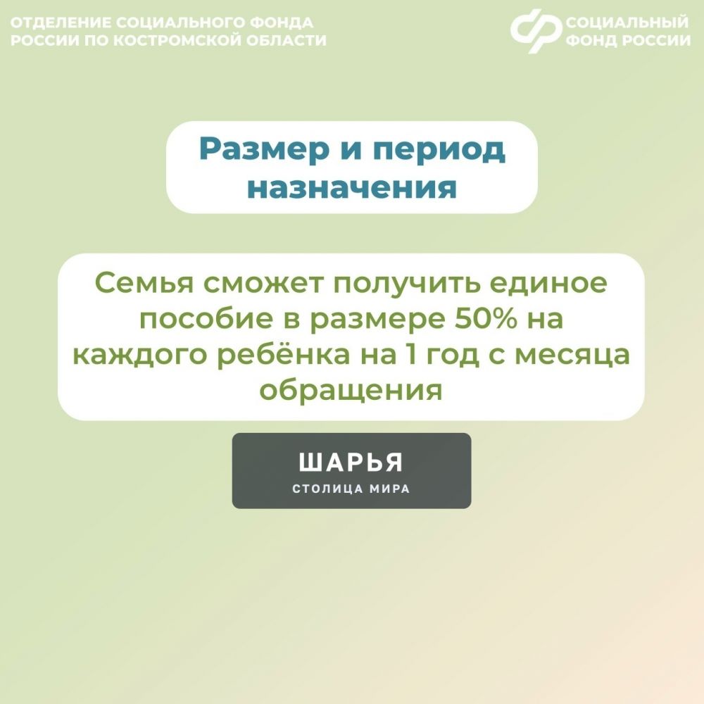Региональное Отделение Соцфонда проактивно пересмотрит выплаты единого пособия многодетным… — Шарья — фото 4