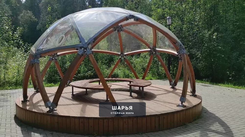 Грибной сезон настал! В это время года Городской парк словно превращаются в настоящий… — Шарья