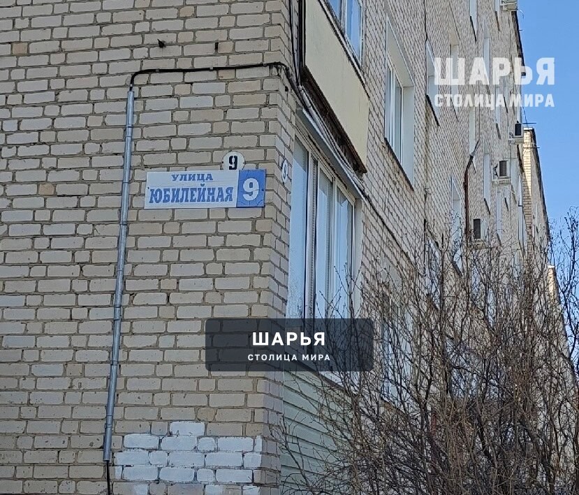 В Шарье появился биологический террорист — Шарья — фото 2