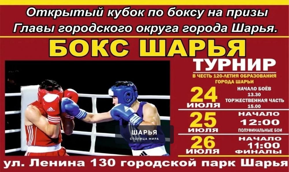 Шарьинцев ждёт турнир по боксу под открытым небом — Шарья