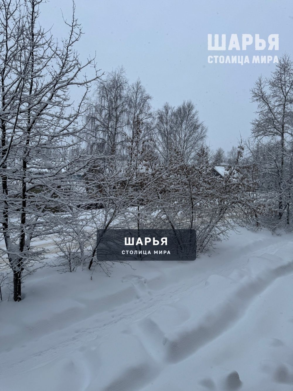 А снег идет, а снег идет — Шарья — фото 2