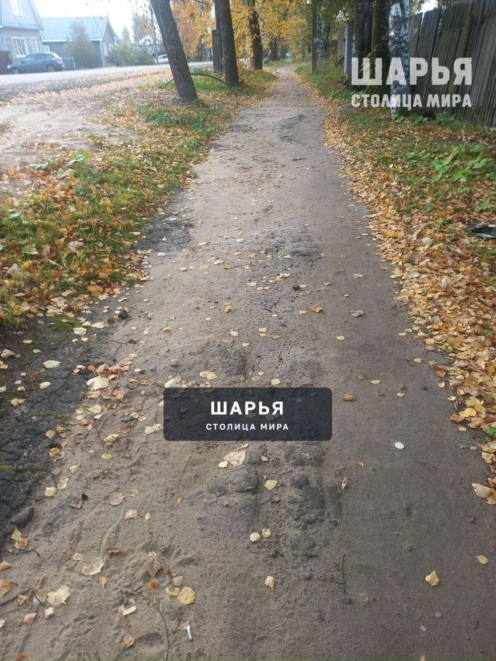 На тротуары асфальта не хватило? — Шарья — фото 6