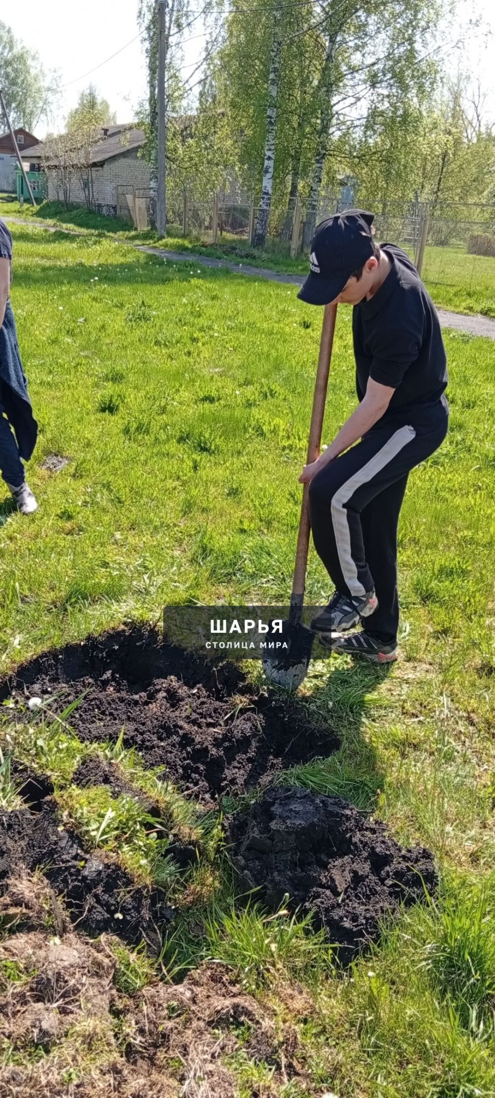 Молодежь Шарьи и Шарьинского района высаживает молодые деревья — Шарья — фото 2