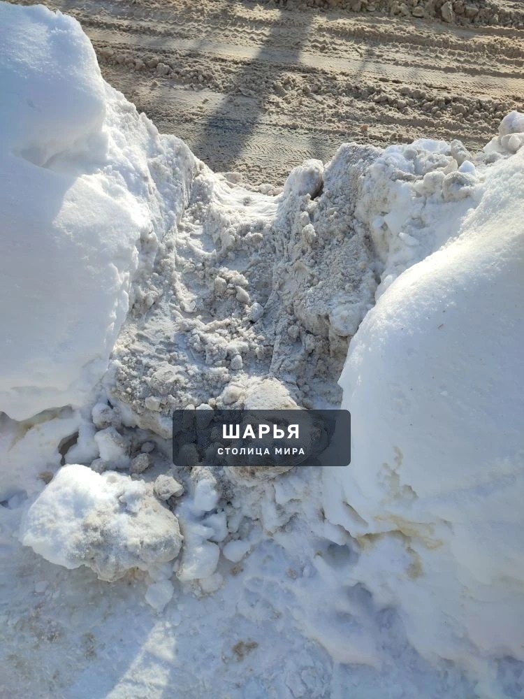 Когда наша администрация примет меры ???! — Шарья — фото 7
