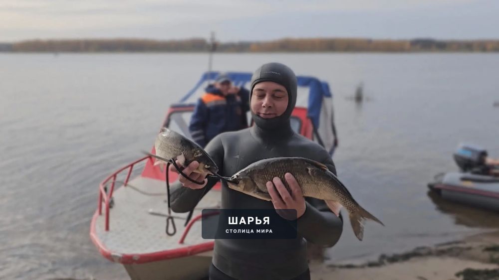 Битва подводных охотников развернётся в Костромском районе — Шарья