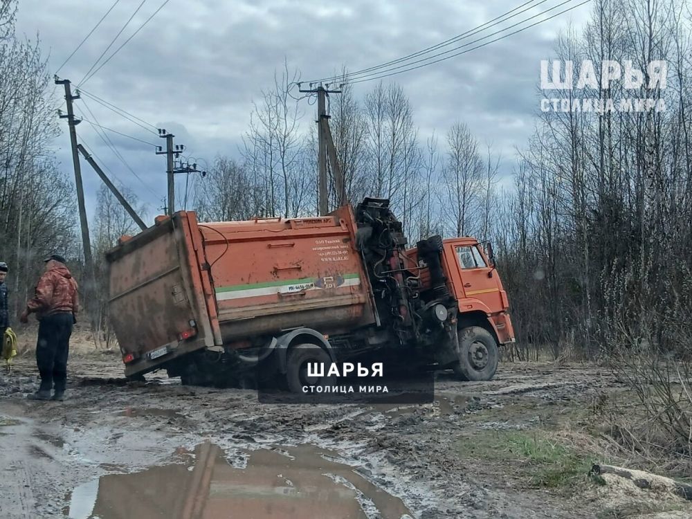 Тянем потянем, вытянуть не можем — Шарья — фото 2