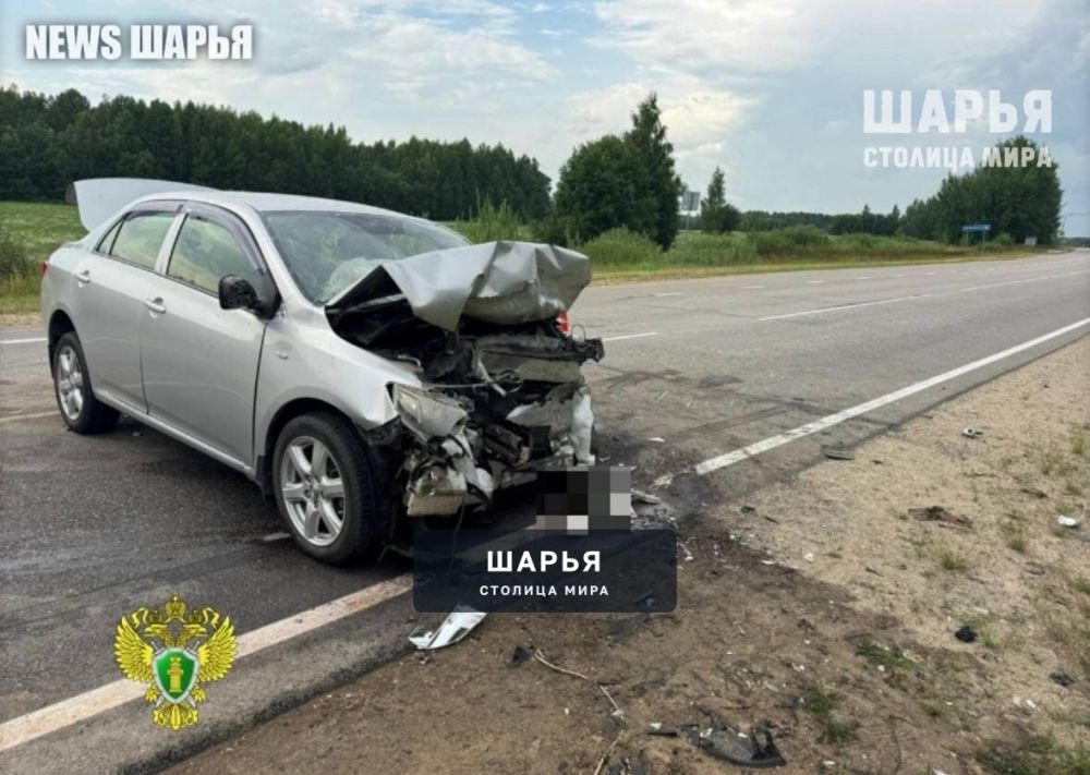Очередное смертельное ДТП в регионе — Шарья — фото 2