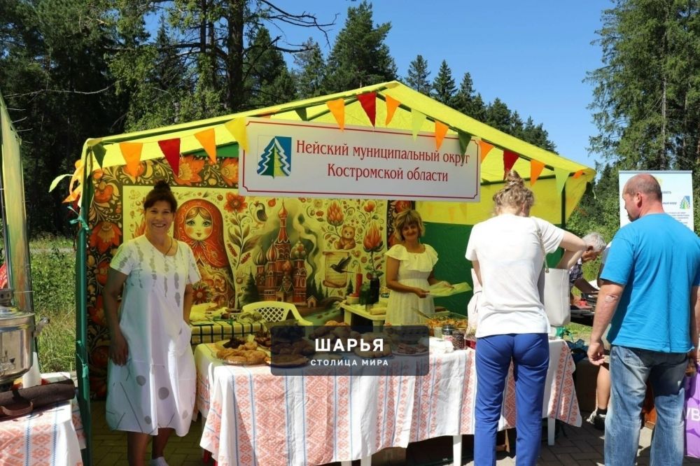 И вновь о XII Межрегиональной Иоанно-Предтеченской ярмарке — Шарья — фото 6