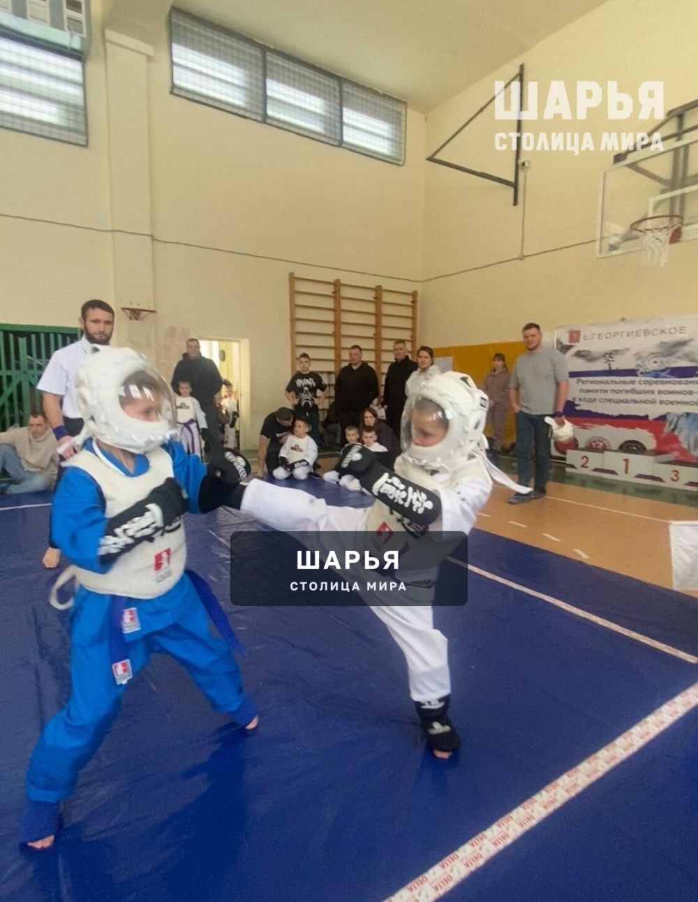 Шарьинские спартанцы вновь в числе сильнейших спортсменов региона — Шарья — фото 5