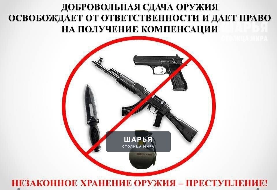 Добровольная сдача незарегистрированного оружия освобождает от уголовки за его хранение — Шарья