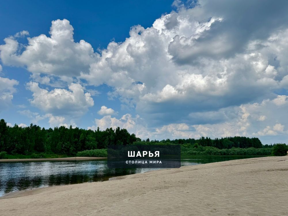 Река Ветлуга — Шарья — фото 1