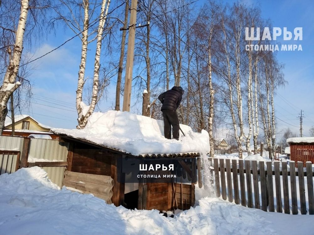 Помощь семьям участников СВО продолжают оказывать студенты — Шарья