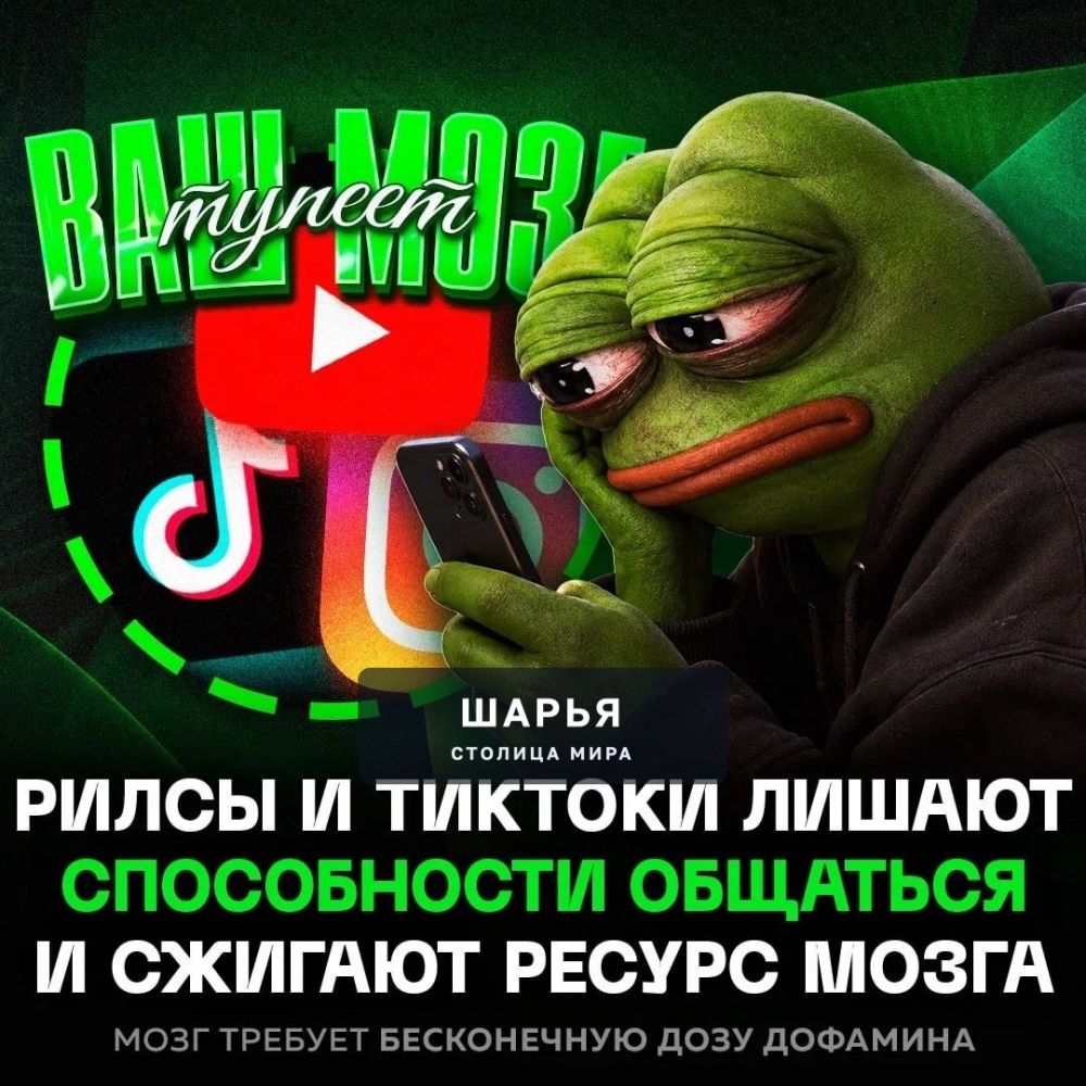 Рилсы ДЕЛАЮТ ЛЮДЕЙ ТУПЫМИ и уничтожают живое общение — журналистка проверила это на себе — Шарья