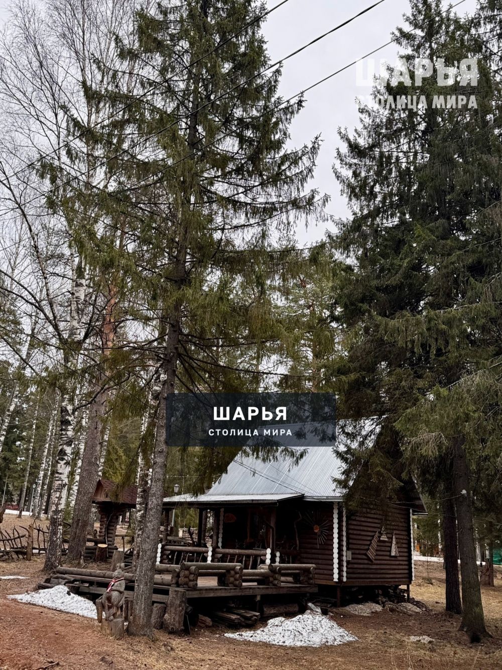 Весна в городском парке — Шарья — фото 1