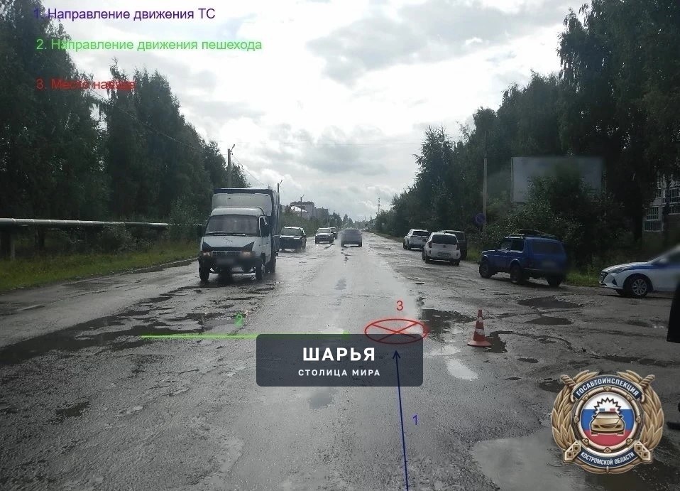 Шарьинские пенсионеры не поделили дорогу — Шарья