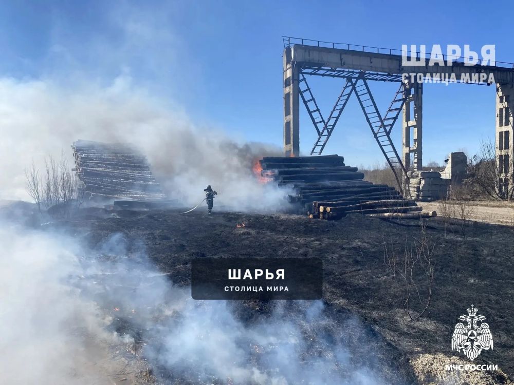 В Шарьинском районе из-за пала травы чуть не случилась трагедия — Шарья — фото 4