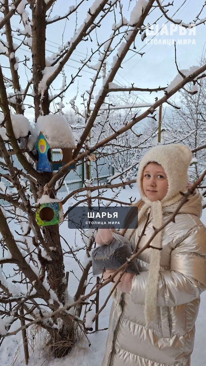 Юные шарьинцы принимают участие во всероссийской акции «Покормите птиц зимой»‍ — Шарья — фото 2