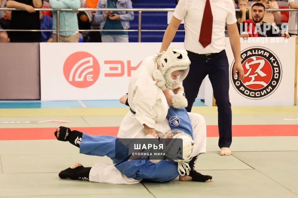 Шарьинцы боролись за Кубок губернатора по кудо — Шарья — фото 2