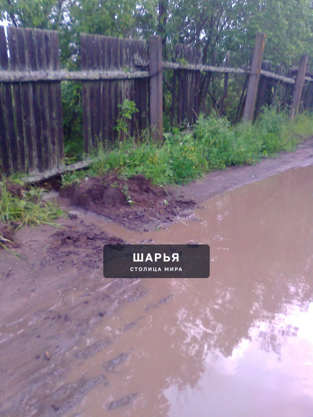 Публикация «Благоустройство сада {Надежда}» — Шарья — фото 1