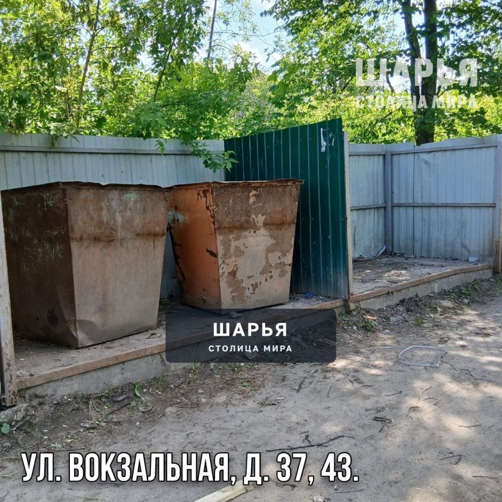 Активные общественники Шарьи ликвидировали проблему мусорных площадок — Шарья — фото 3