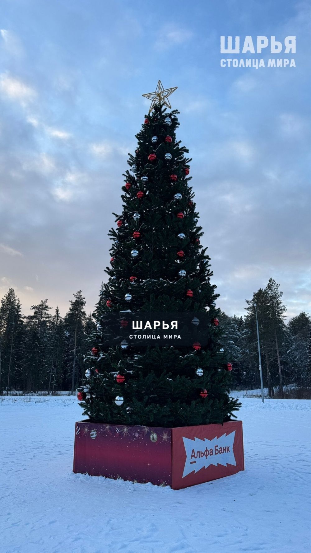 «И вот она нарядная на праздник к нам пришла…» — Шарья — фото 3