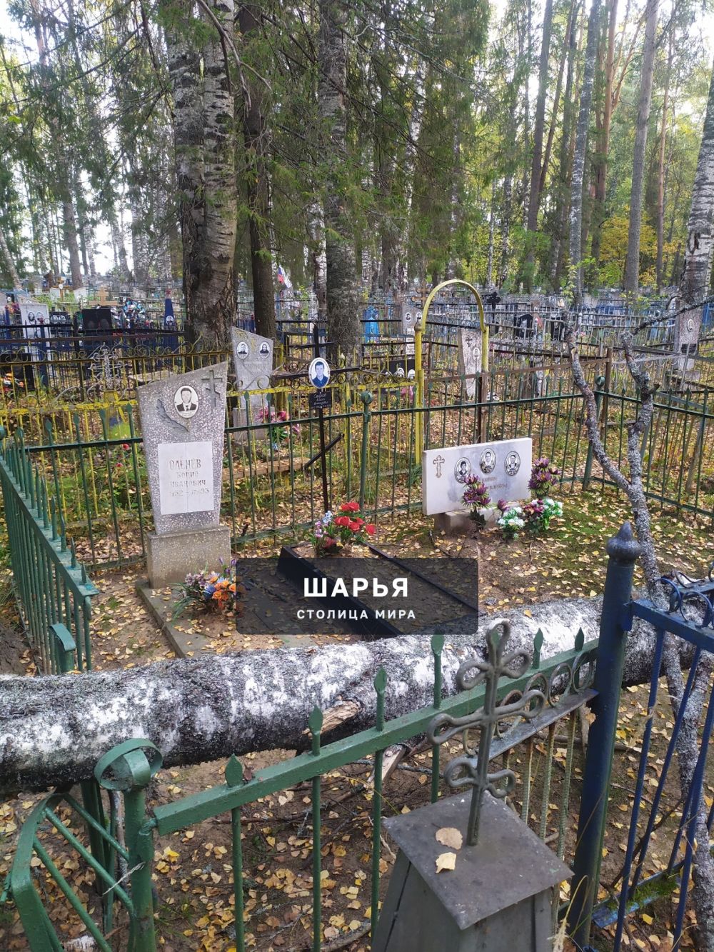 Добрый день жители города Шарья — фото 8