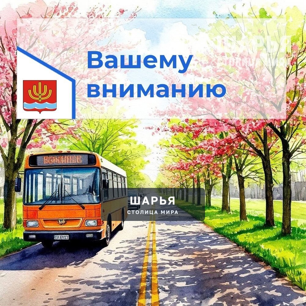 Шарьинцы смогут доехать до кладбища в Козлово на дополнительном автобусе — Шарья