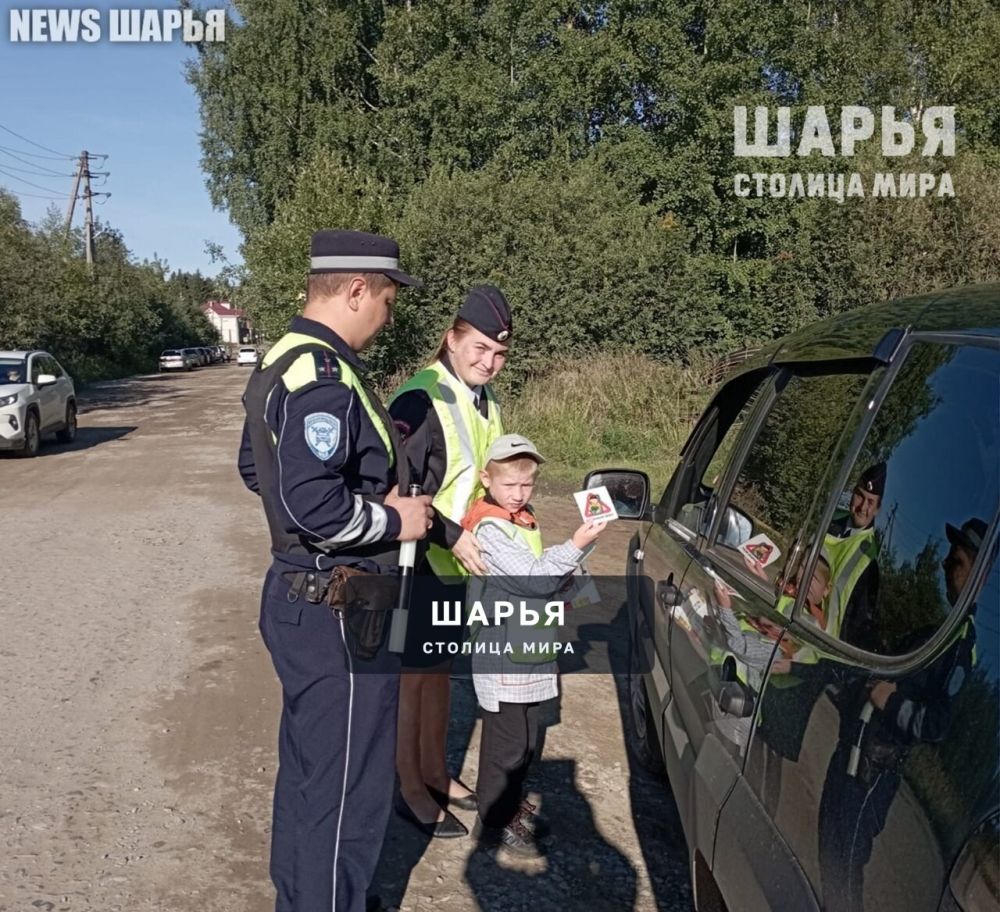 Юные шарьинцы напомнили взрослым о соблюдении дорожной безопасности — Шарья — фото 2