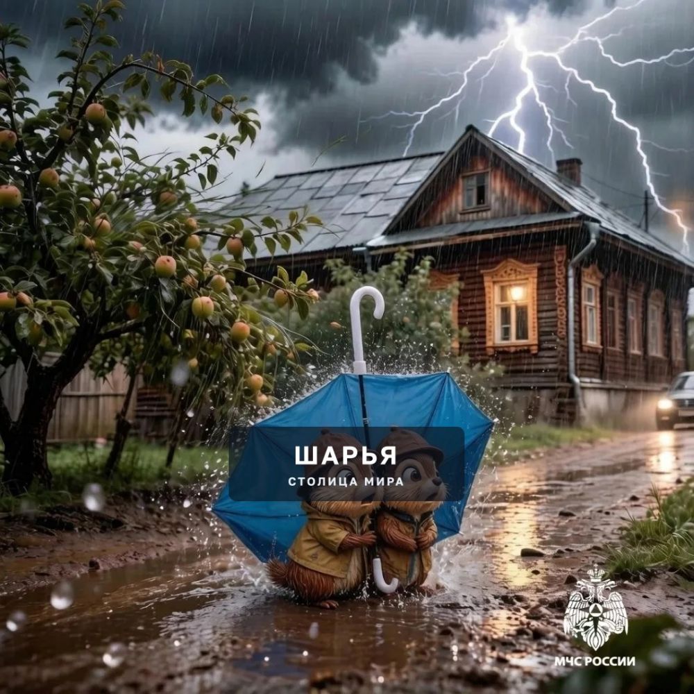 Нас снова ожидает гроза и сильный дождь — Шарья