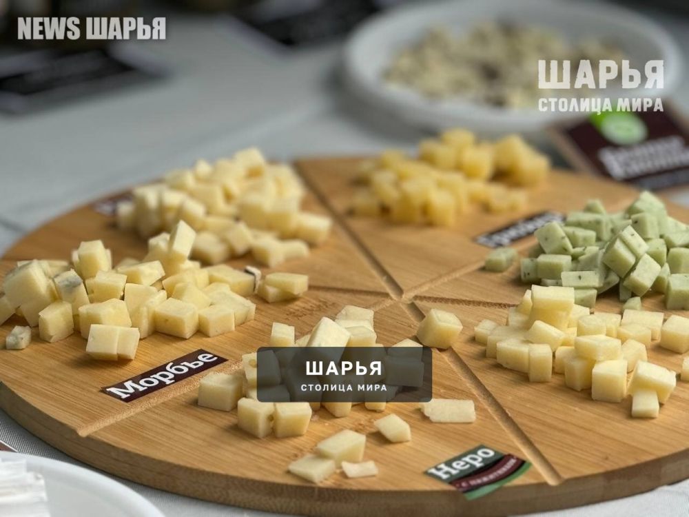 Всероссийский рекорд установлен на костромском фестивале сыра — Шарья — фото 2