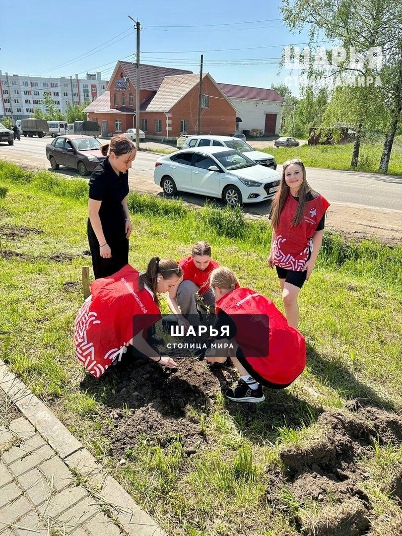 Память сохраняем на века — Шарья — фото 8