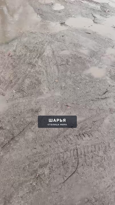 Уважаемая администрация города Шарья!