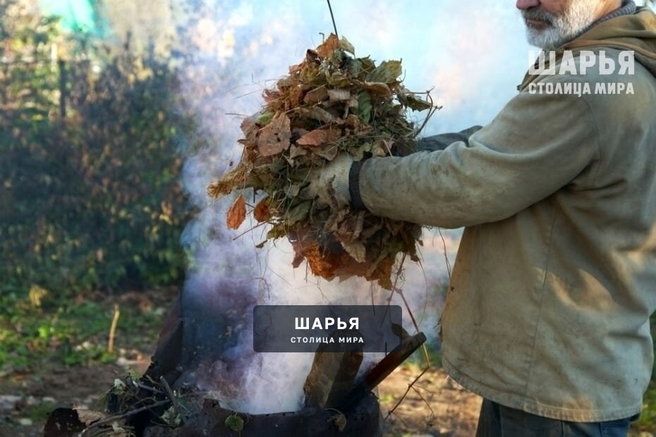 Россиян оштрафуют до 15 тысяч за сжигание листвы! — Шарья