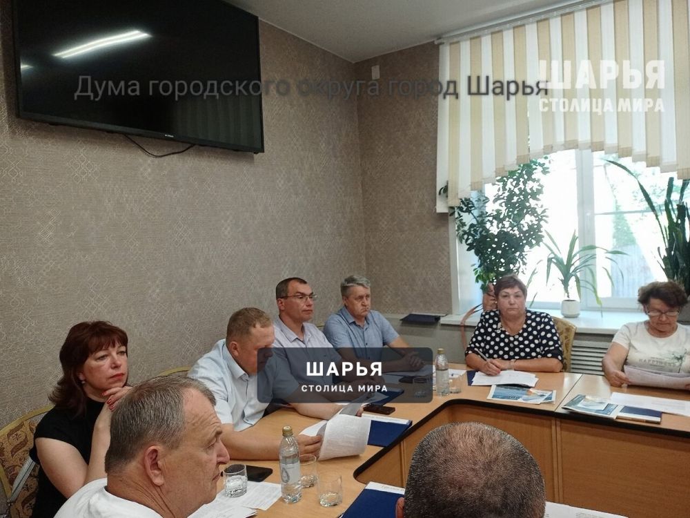 Применение дотаций и возможность увековечивания памяти В.В.Долгих — Шарья — фото 4