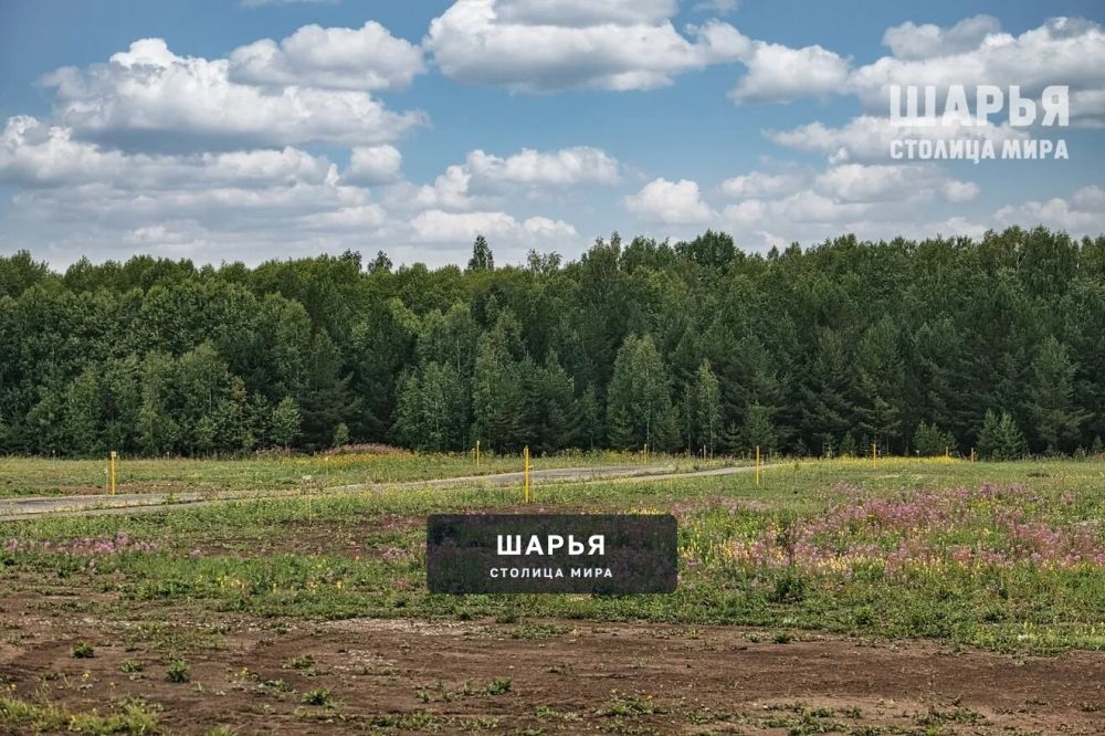 Более 40 гектаров земли Шарьинский район подготовил под овощные наделы для жителей — Шарья