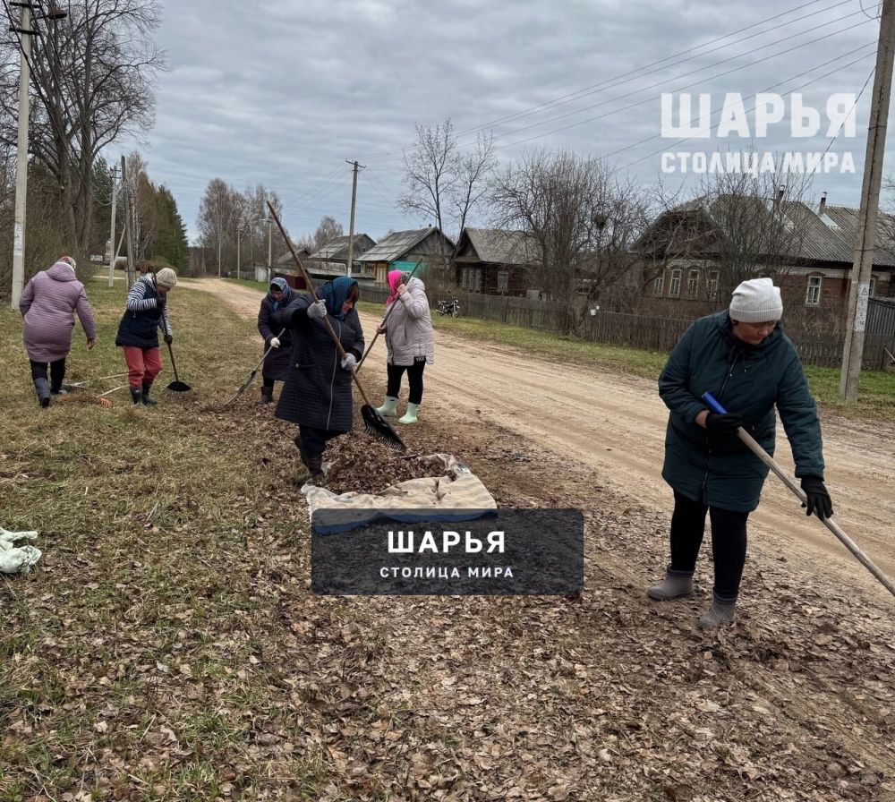 Несколько сотен жителей Шарьинского района вышли на субботники — Шарья — фото 8