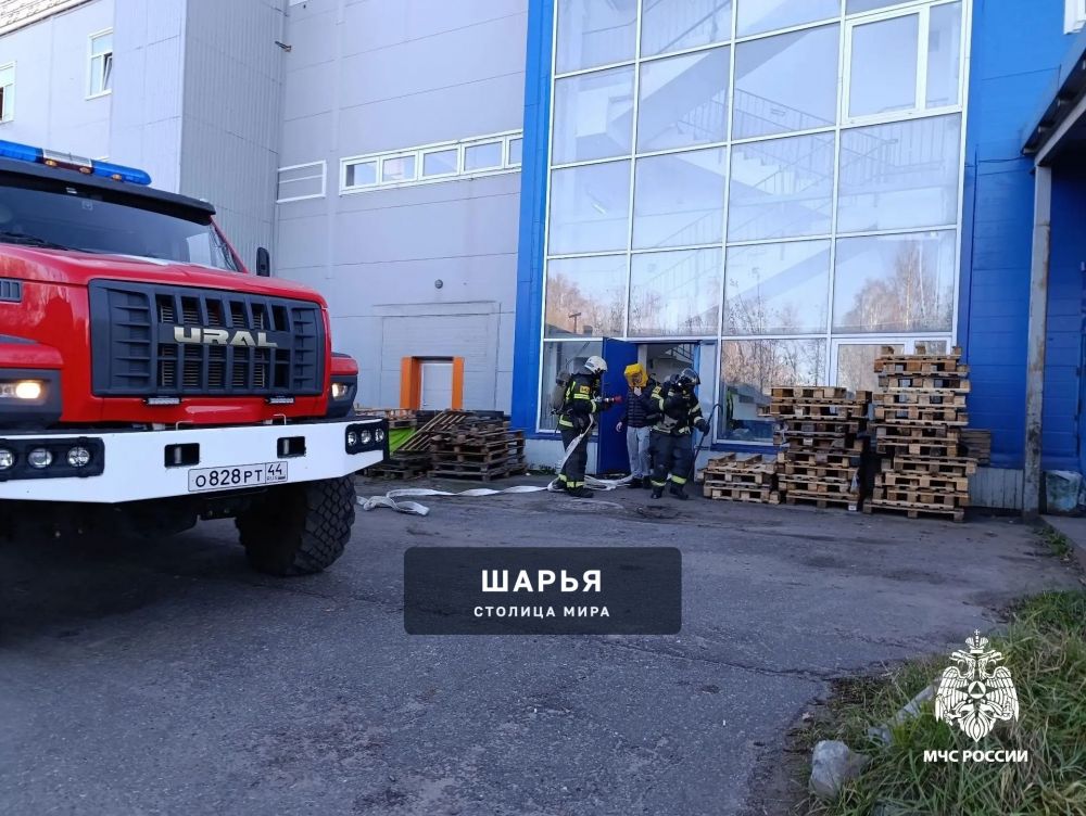 Шарьинские огнеборцы провели пожарно-тактические учения в местном ТЦ — Шарья — фото 5