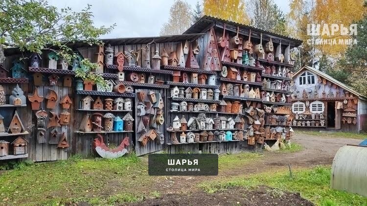 Необычное увлечение жителя нашего региона прославило его на всю область — Шарья — фото 3