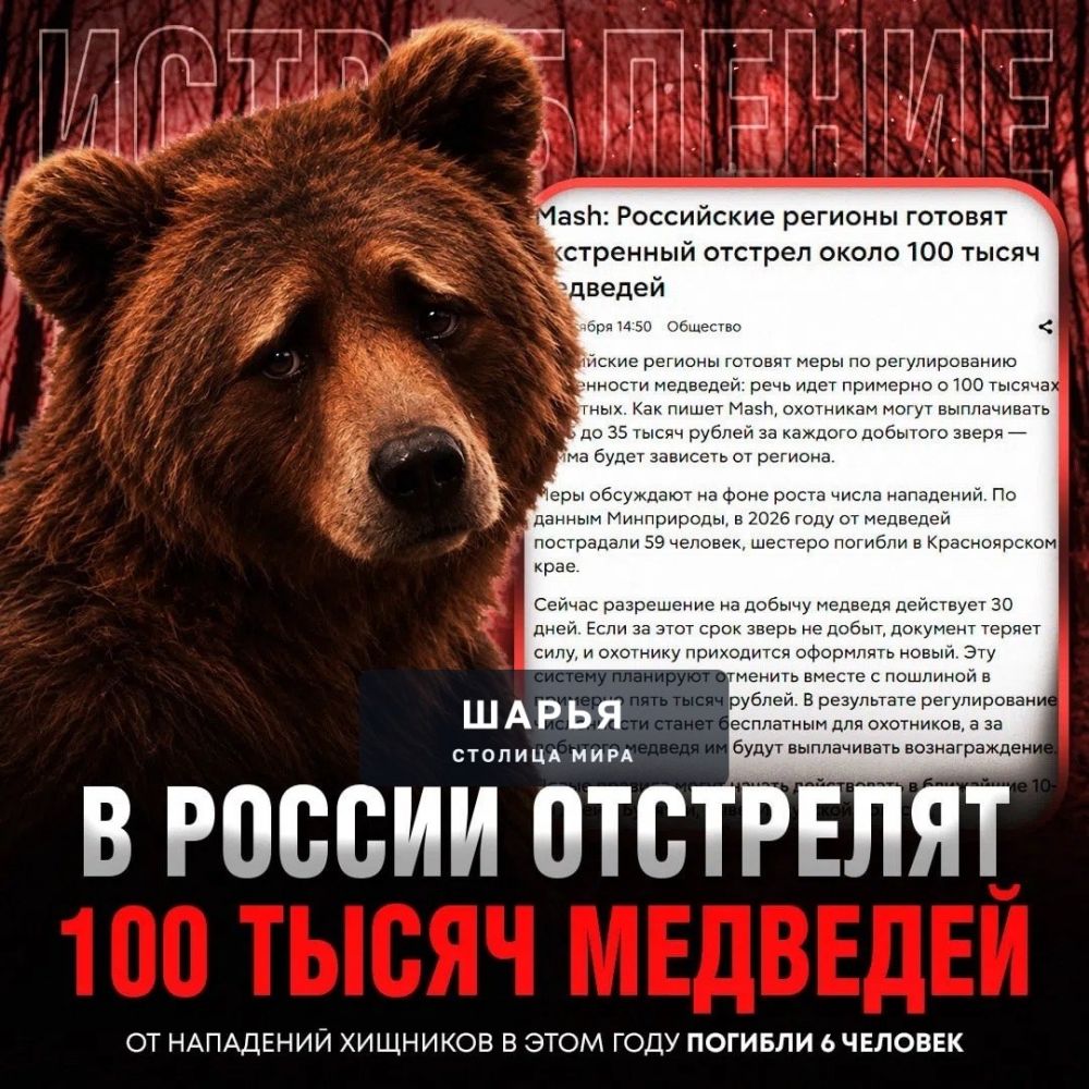 ‼ОХОТУ НА 100 ТЫСЯЧ МЕДВЕДЕЙ объявят в российских регионах — за каждого добытого зверя… — Шарья