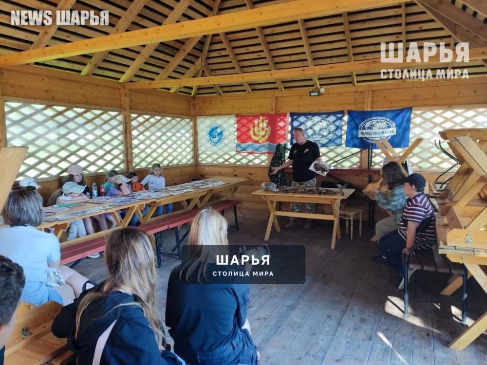 На один день Городской парк Шарьи стал местом притяжения для юных исследователей — Шарья — фото 3