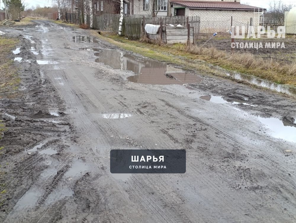 Дорога в ужасном состоянии, но ремонта даже не предвидится — Шарья — фото 6