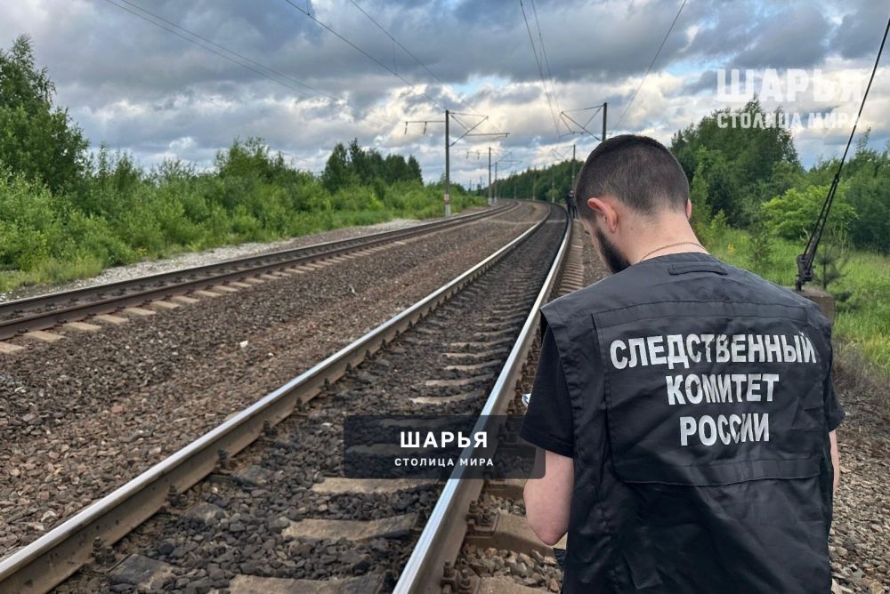 В Костромской области под поездом погибла женщина — Шарья