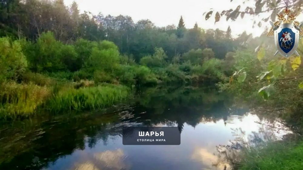В Павинском округе утонул 39-летний мужчина — Шарья