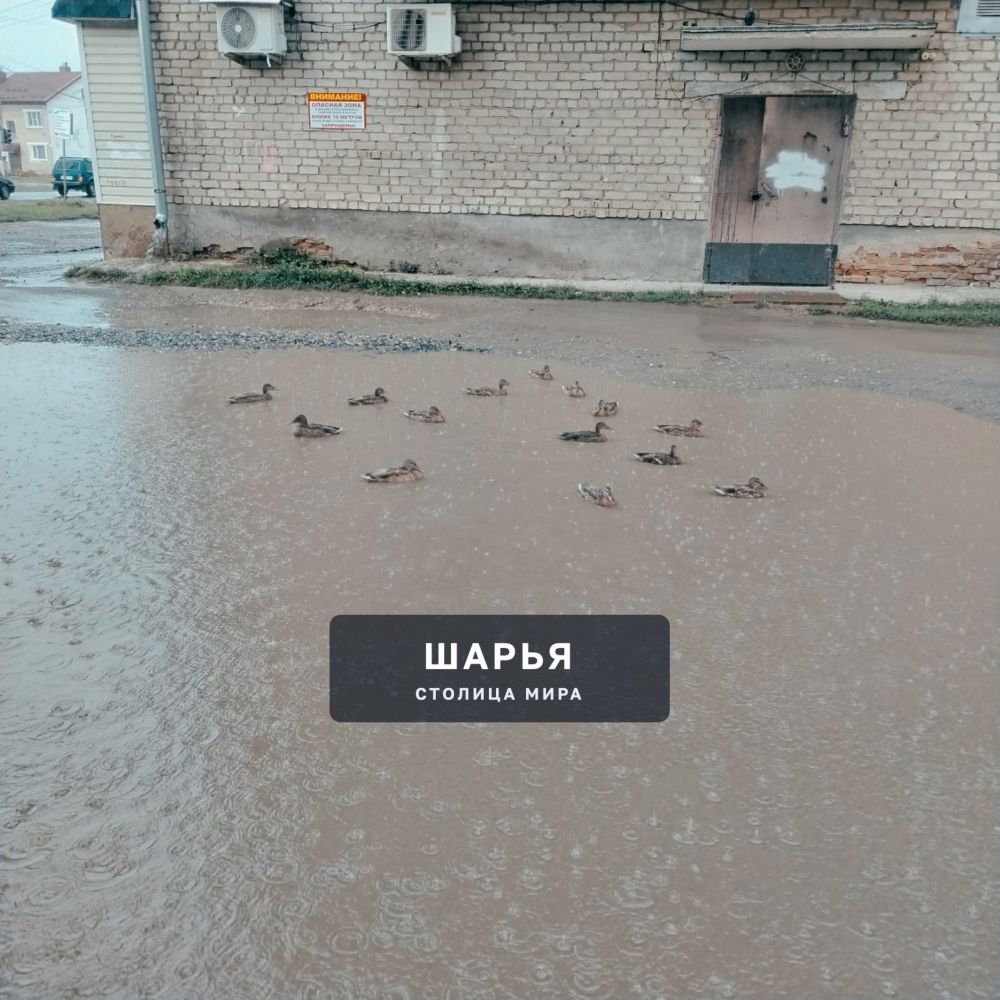 От лица жителей домов №21 и №32 по улице 50 лет Советской Власти хотим выразить искреннюю… — Шарья — фото 2