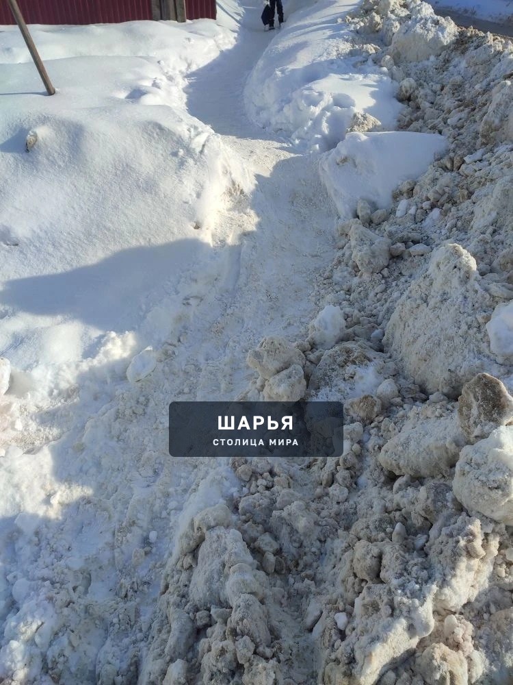 Когда наша администрация примет меры ???! — Шарья — фото 4